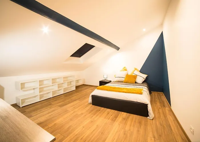 Le Grand Dupont Du Parc Ste-marie - Insolites 南锡